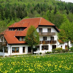 Rhön-Hotel Sonnenhof - Restaurant&Café